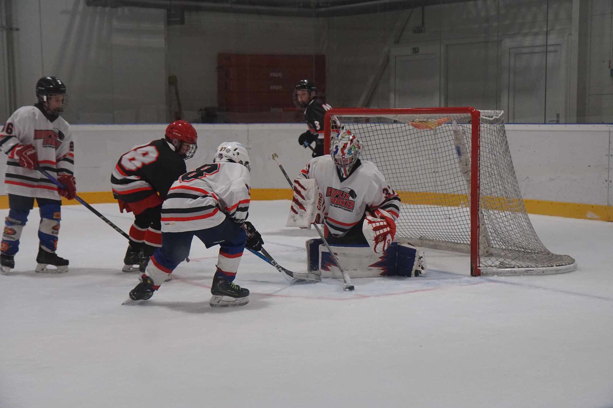 Hockey players in action